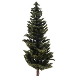 Conifer Tree, 8 Inches
