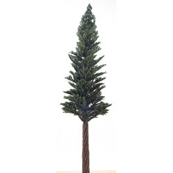 15" Lodgepole Pine Tree