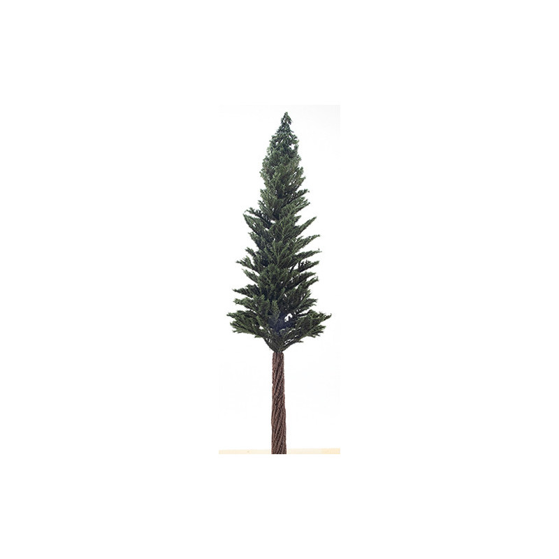15" Lodgepole Pine Tree