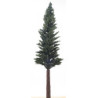 15" Lodgepole Pine Tree