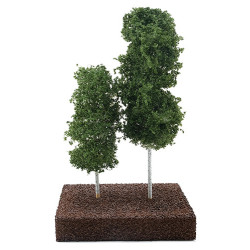Green Aspen Grove 6"/9"