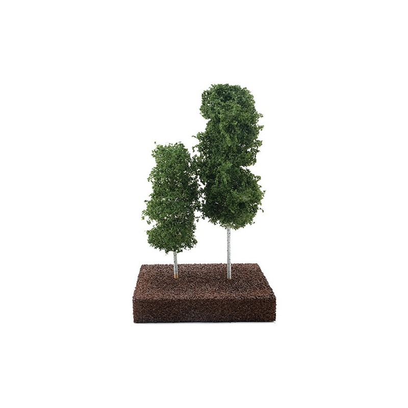 Green Aspen Grove 6"/9"