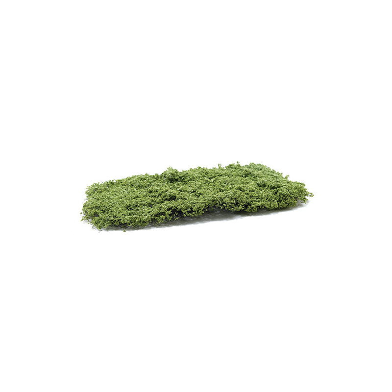 Light Green Pull - Apart Phlox