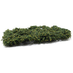 Medium Green Pull-Apart Phlox