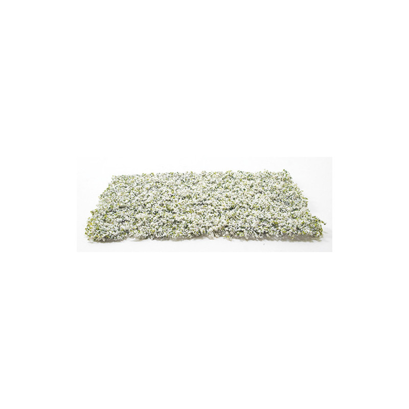 White Leaf Micro-Phlox 5" x 7"