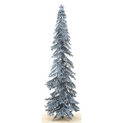 12" Eastern Blue Spruce