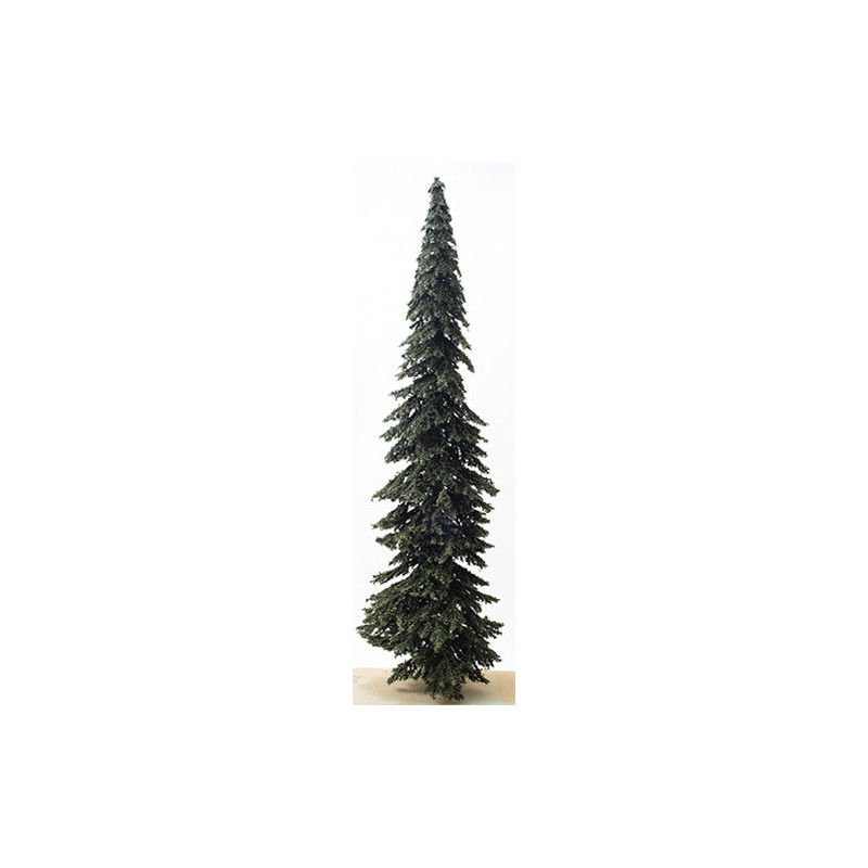 15" Appalacian Green Spruce