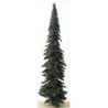 15" Appalacian Green Spruce
