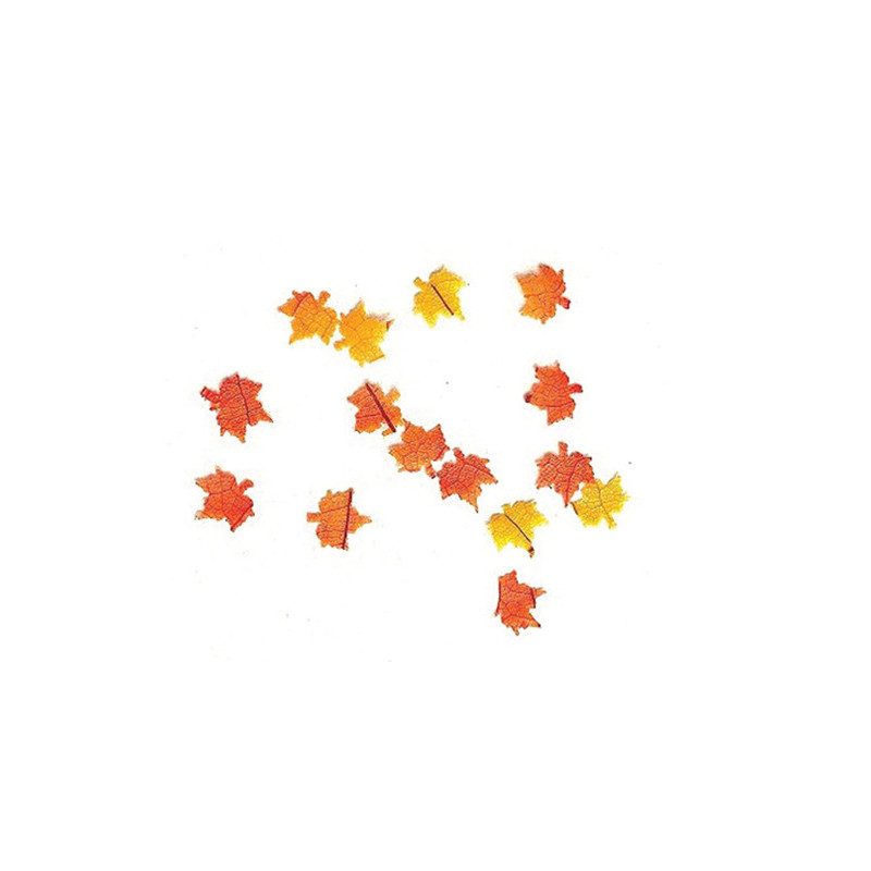 Leaves, Approx 50