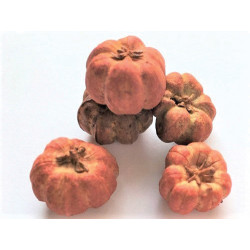 Pumpkins, 6pc