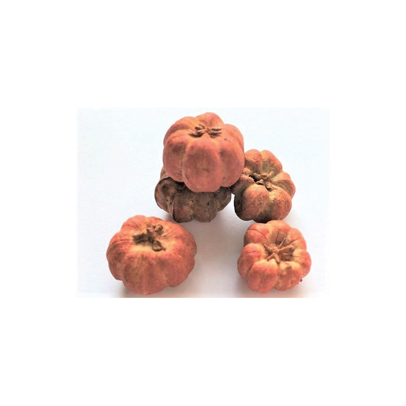 Pumpkins, 6pc