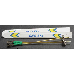 Skis with Poles