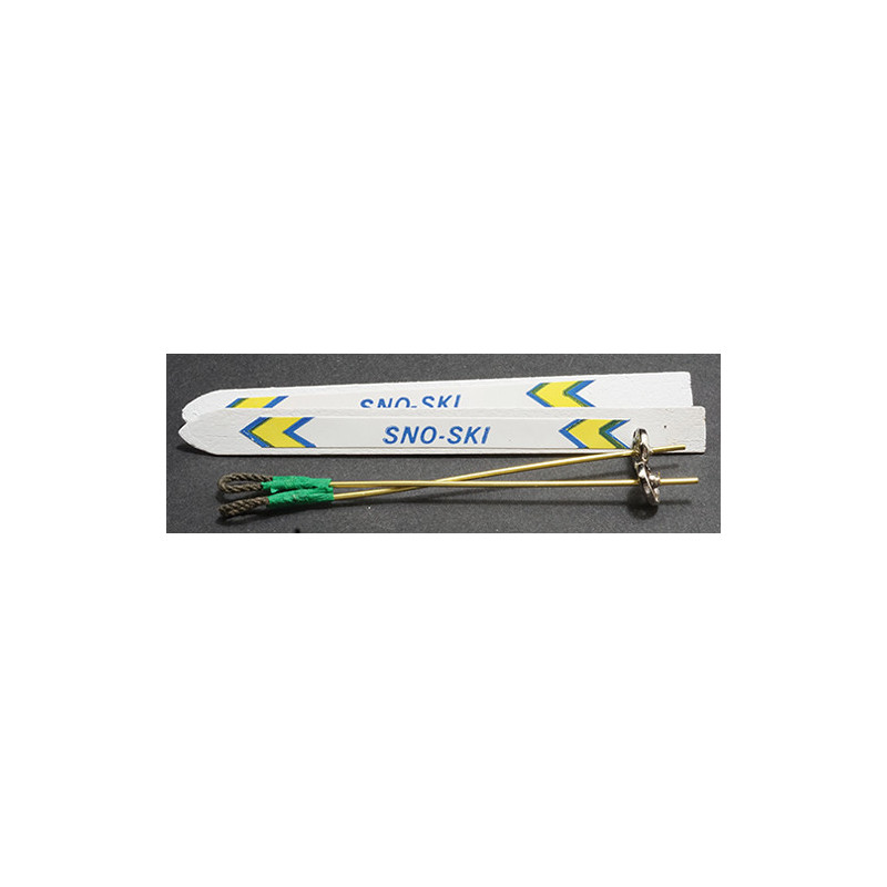Skis with Poles