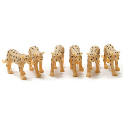 Cheetah, 6pc
