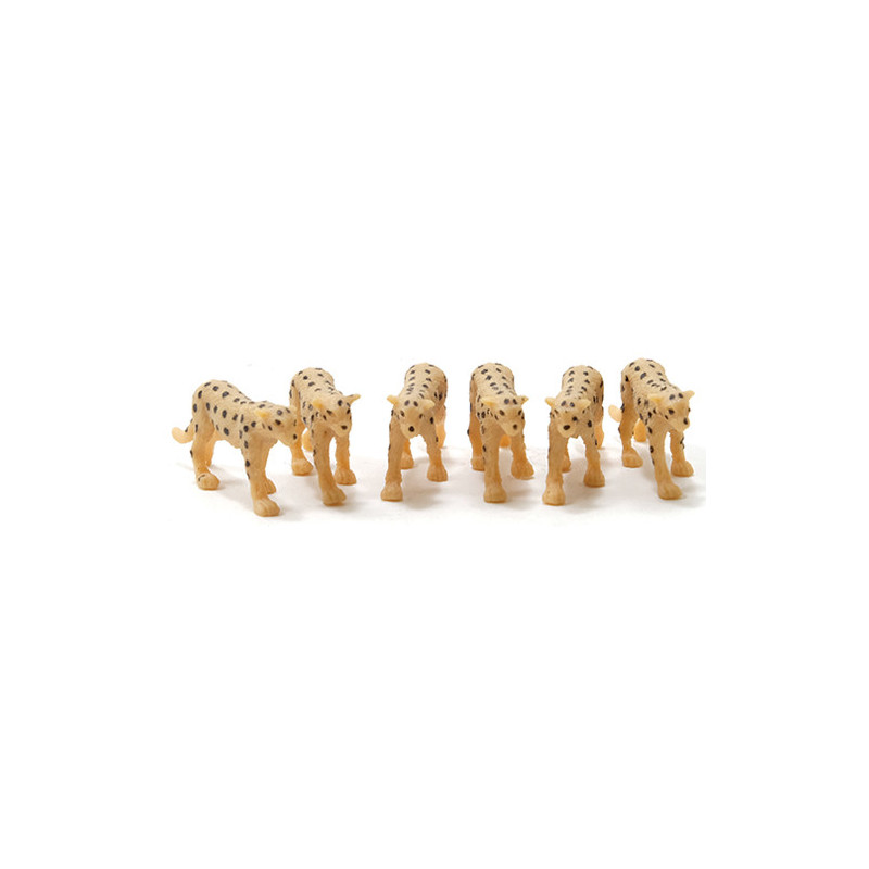 Cheetah, 6pc