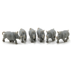 Rhinoceros, 6pc