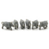 Rhinoceros, 6pc