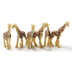 Giraffe, 6pc