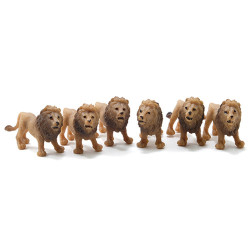 Lion, 6pc