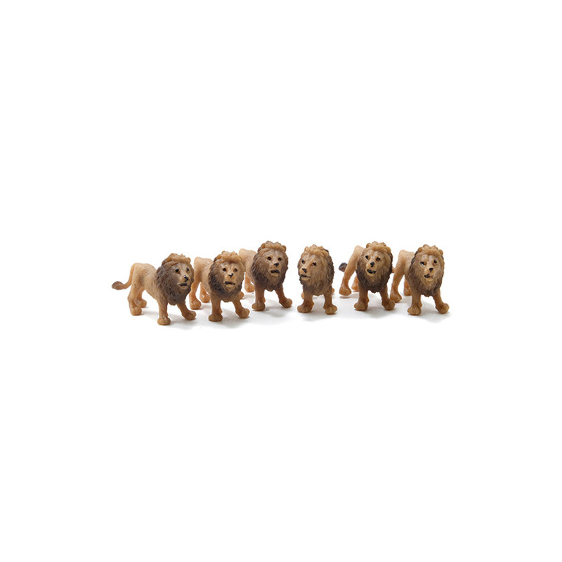 Lion, 6pc