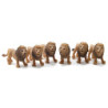 Lion, 6pc