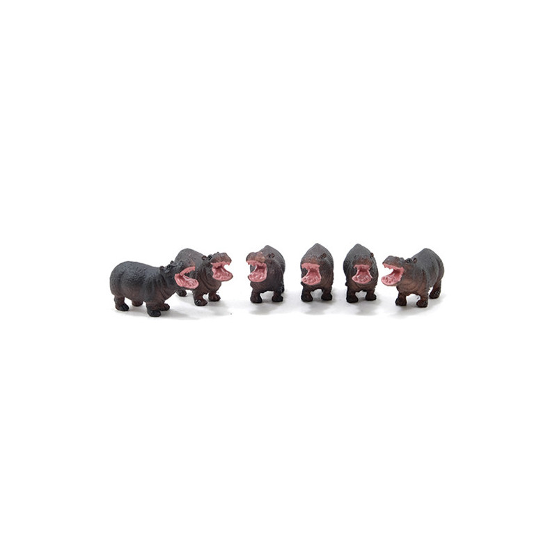 Hippopotamus, 6pc