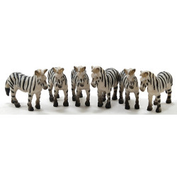 Zebra, 6pc