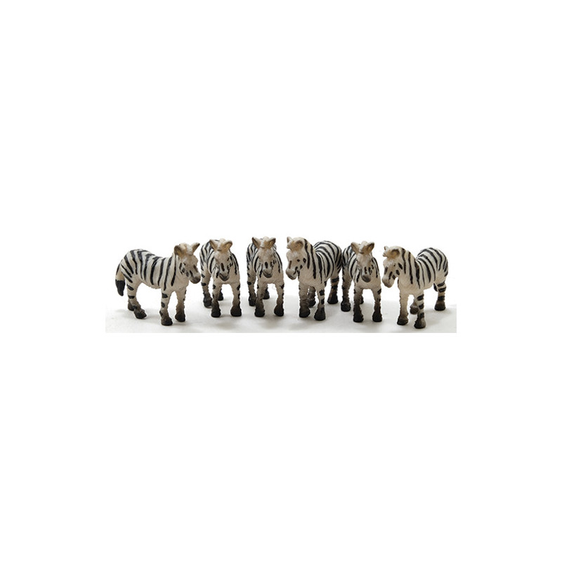 Zebra, 6pc