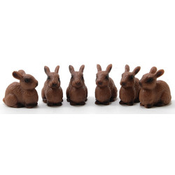 Rabbit, 6pc
