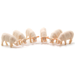 Pig, 6pc
