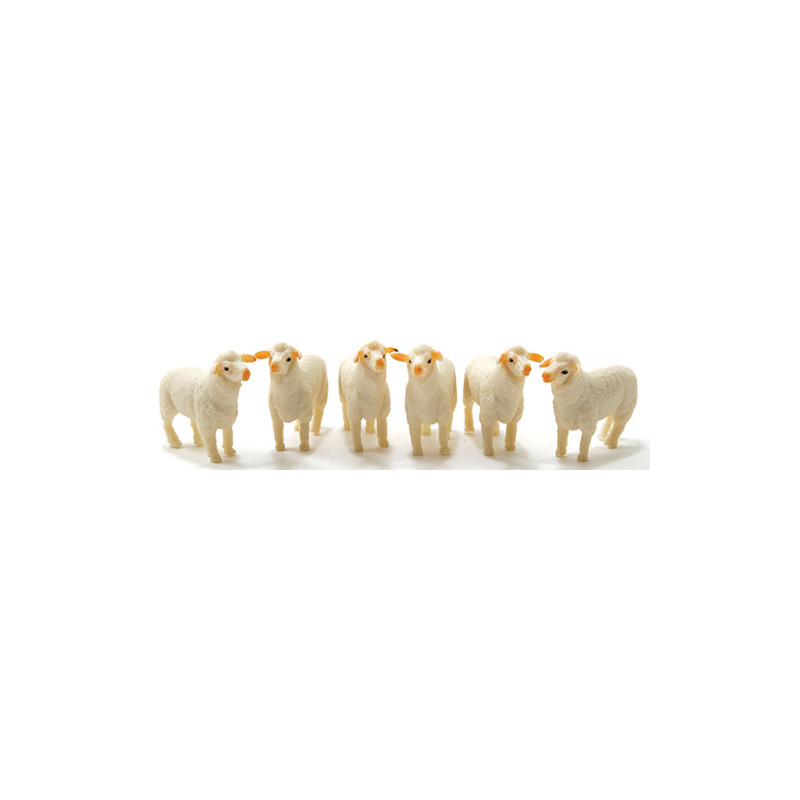 Lamb, 6pc