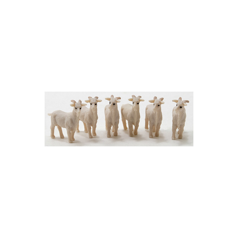 Goat, 6pc