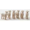 Goat, 6pc