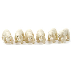 Polar Bear, 6 Pc