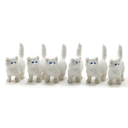 White Kitten, 6pc