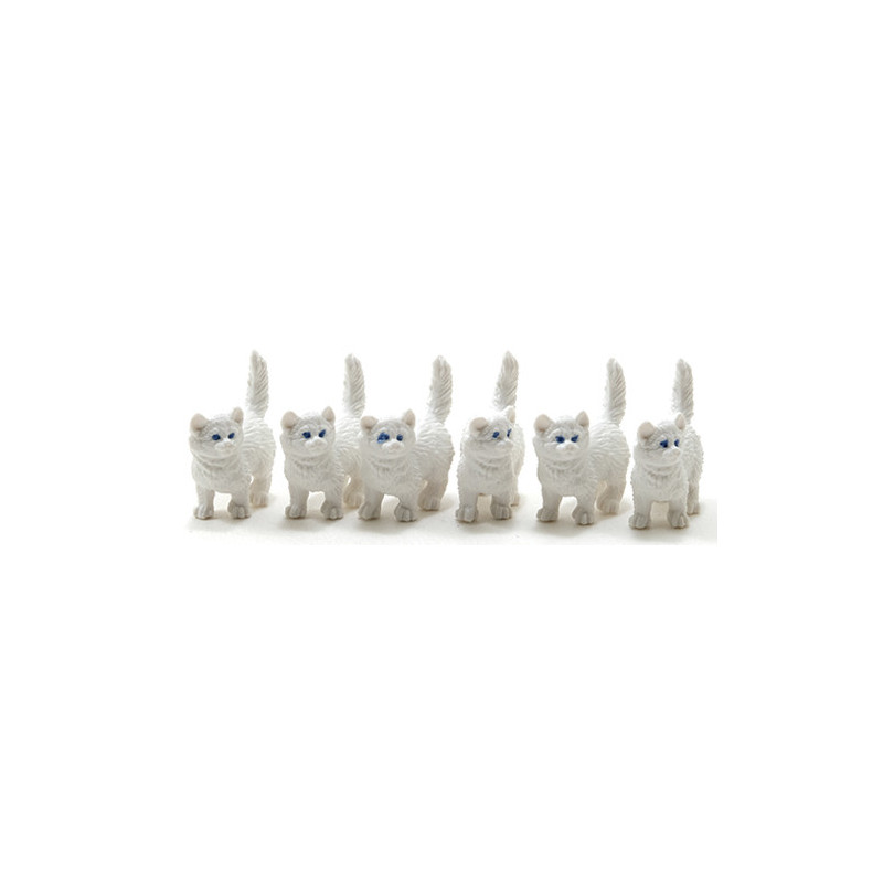 White Kitten, 6pc