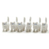 White Kitten, 6pc