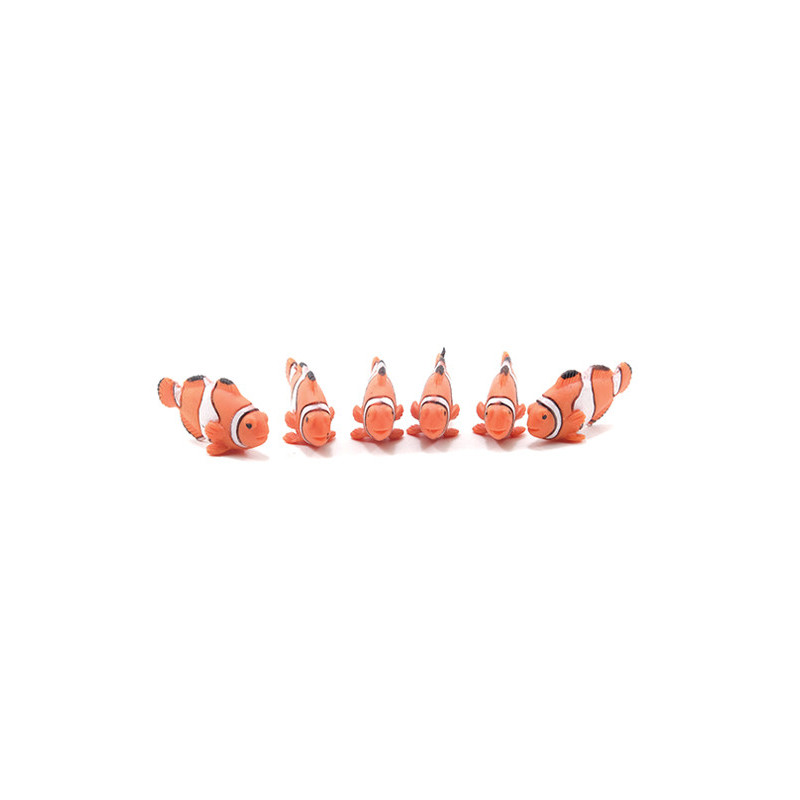 Clown Fish, 6pc