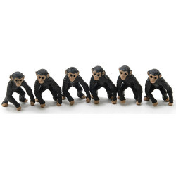 Chimpanzee, 6pc