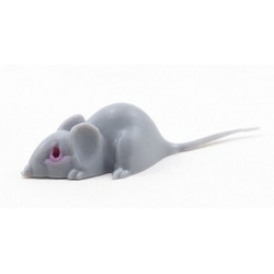 Gray Mouse, Large