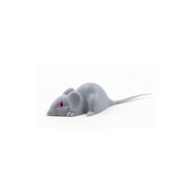 Gray Mouse, Large