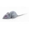 Gray Mouse, Large