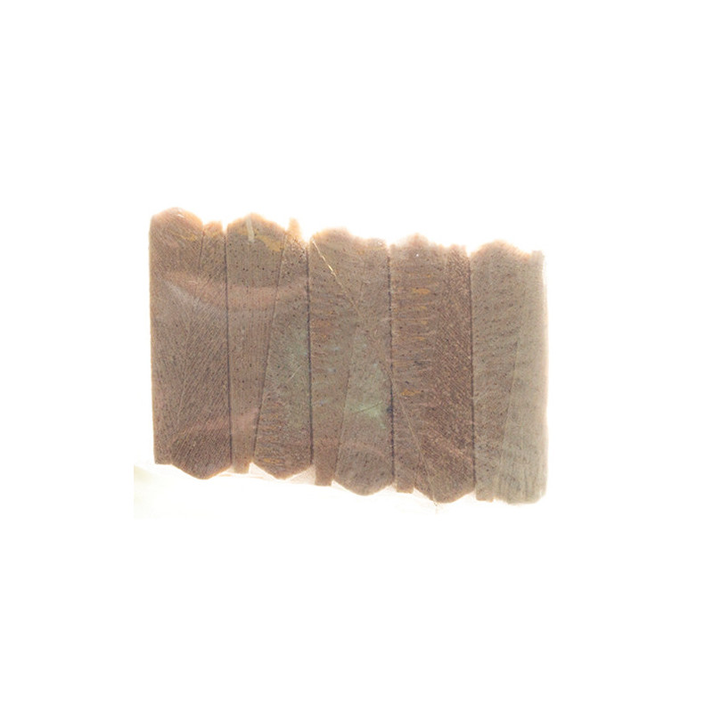 5/16 X 1-1/4 X 36, 10, Balsa Ail
