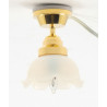 Hw2650 Ceiling Lamp  Large Tulip
