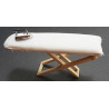 Ironing Board with Iron    