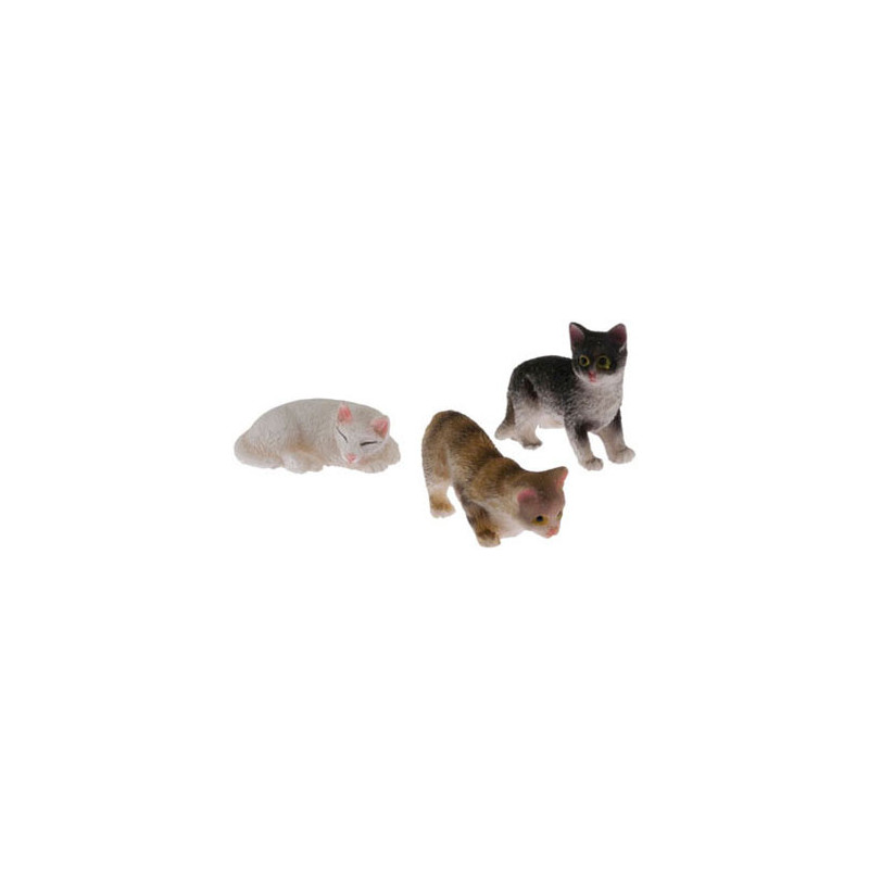 Cat  Assorted