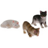 Cat  Assorted
