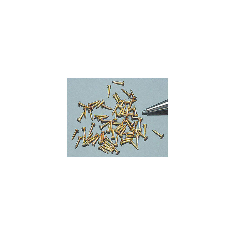 1 8 Brass Brads  Approx 300