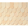 Fishscale Shingles 1000 Pcs