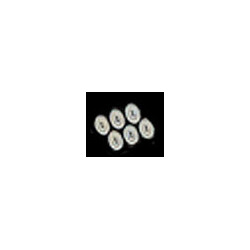 SMALL OVAL ESCUTCHEON 6PCS SILVER